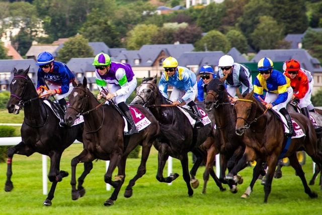 How to bet on Horse Racing? 5 Tips To Get Started!